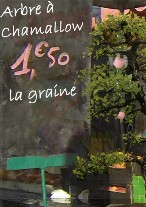 Arbre à Chamallow, marché de Decazeville Arbre a Chamallow, marche de Decazeville