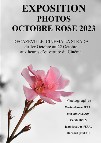 Expo Photos Octobre Rose 2023