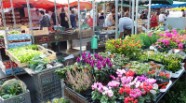 marché de la vitarelle marche-de-la-vitarelle