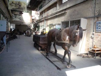 ASPIBD Salle du Cheval ASPIBD salle du cheval